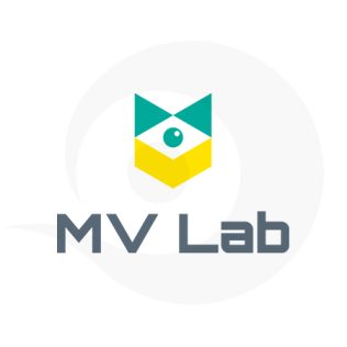 MV Lab Logo Design