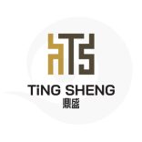Ting Sheng Logo Design