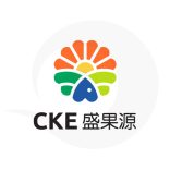 CKE International Trade & Solution Logo Design