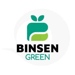 Binsen Green Logo Design