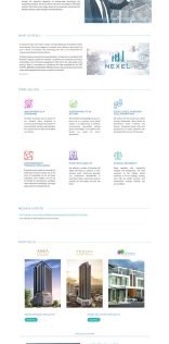 Nexel Group website design